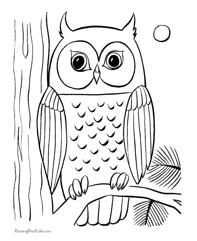 owls coloring pages