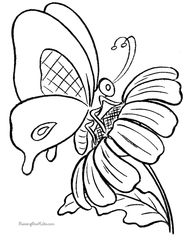 free butterflies Colouring Pages