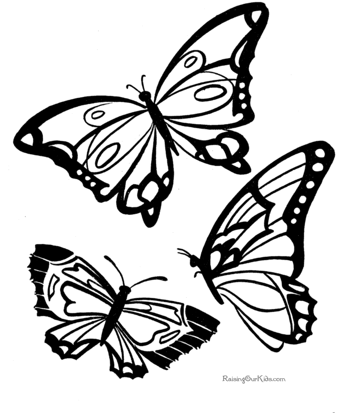 Butterfly Coloring Pages To Print