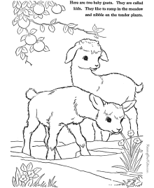 Farm Animal Coloring Pages Goat