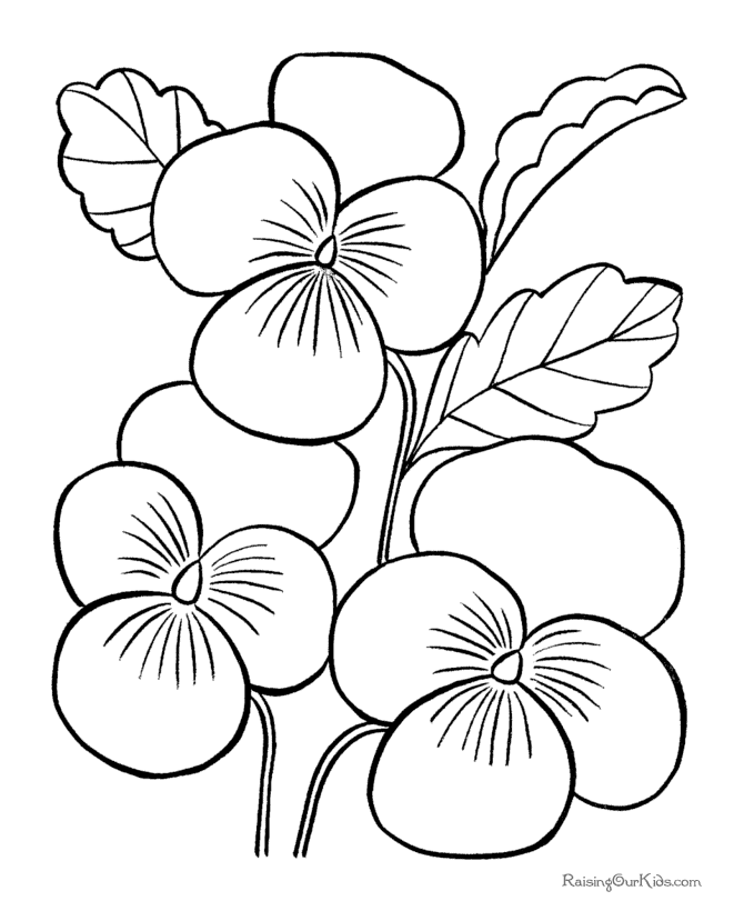 flower images to color. Printable flower pages to color