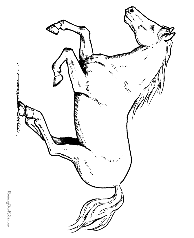 horse-coloring-sheet-039