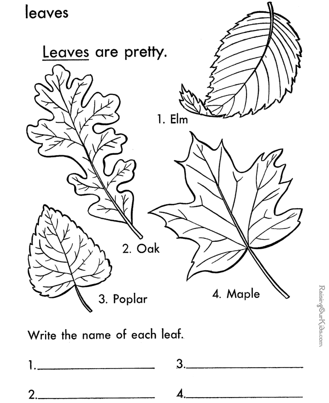 printable-leaf-coloring-page-009
