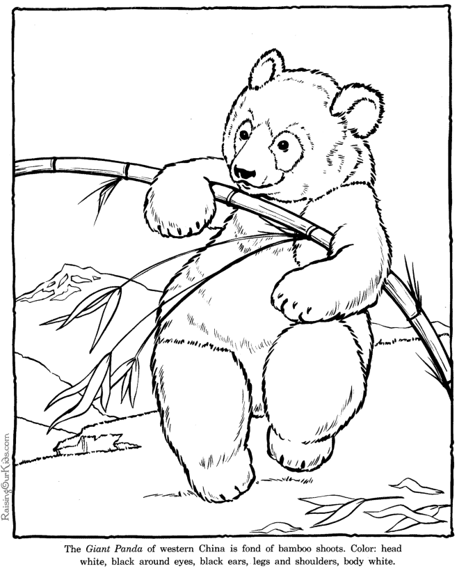 Giant Panda coloring pages Zoo animals
