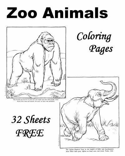 Zoo Animal Coloring Sheets and Pictures