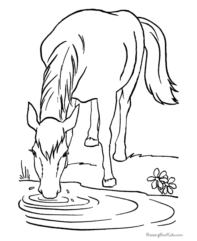 horse pictures to colour in. free farm horse color page