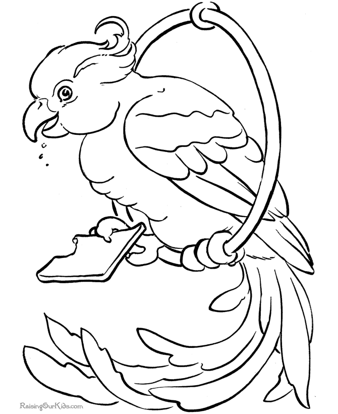 Free Printable Parrot Coloring Pages Birds