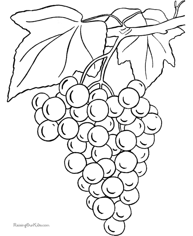 lukisan buah anggur