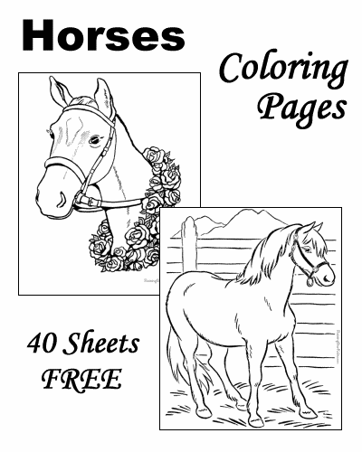 Featured image of post Printable Horse Coloring Pages For Kids : We have collected 39+ horse coloring page for kids images of various designs for you to color.