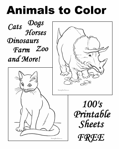 82 Coloring Pages Of Animals Free Printable  Free